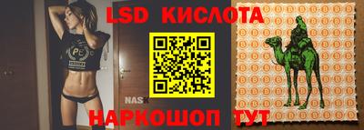 скорость Гусев