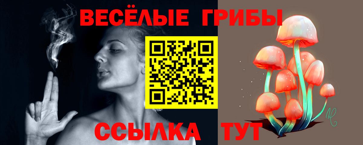 Галлюциногенные грибы MAGIC MUSHROOMS  Галлюциногенные грибы Magic Shrooms  Вход с VPN  Ленинск-Кузнецкий 